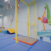 Гимнастический центр и секция баскетбола KIBROLOGY gym фото 2 на сайте Filevskiy.su
