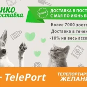 Автоматизированный пункт выдачи Teleport на Филевском бульваре фото 8 на сайте Filevskiy.su