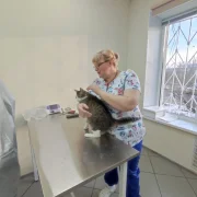 Ветеринарная клиника Ваше ворсейшество фото 12 на сайте Filevskiy.su