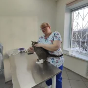 Ветеринарная клиника Ваше ворсейшество фото 17 на сайте Filevskiy.su