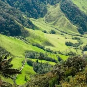Производственная компания Strauss фото 5 на сайте Filevskiy.su
