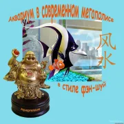 Компания по обслуживанию и оформлению аквариумов Aquapremium фото 7 на сайте Filevskiy.su