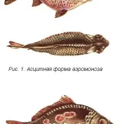 Компания по обслуживанию и оформлению аквариумов Aquapremium фото 4 на сайте Filevskiy.su